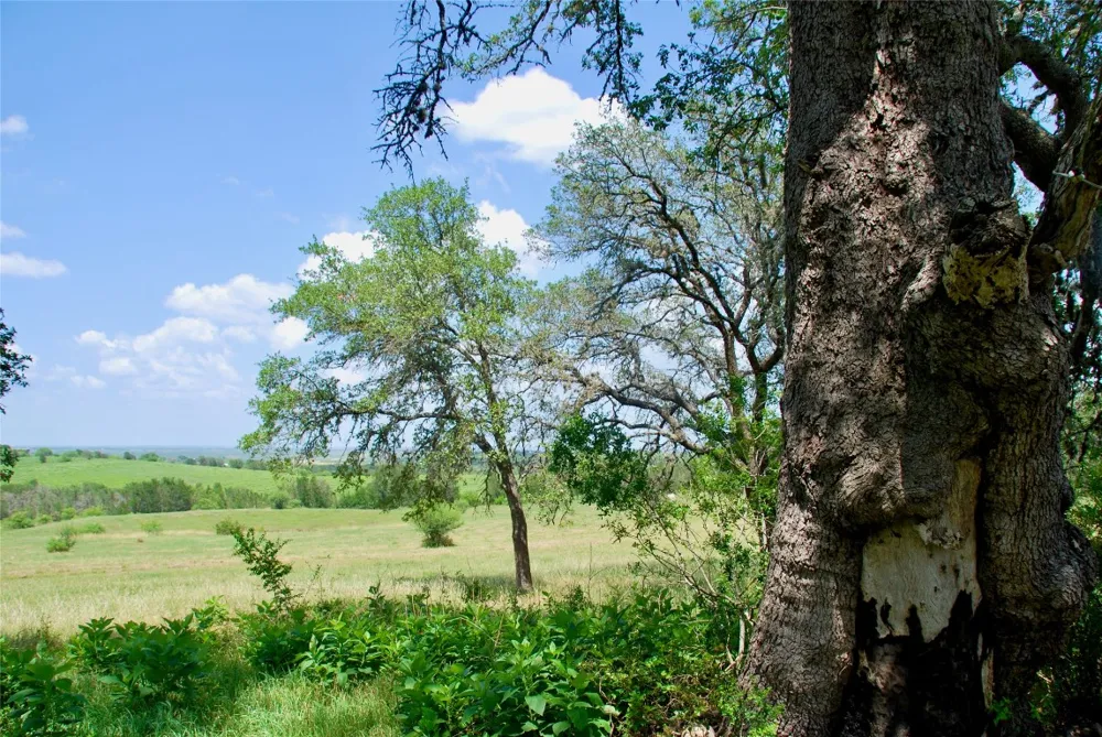 2725 Old Lehmann Road Kingsbury, TX 78638